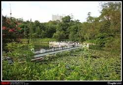 香港中文大學