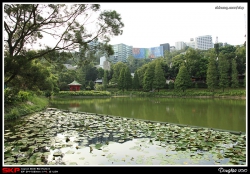 香港中文大學