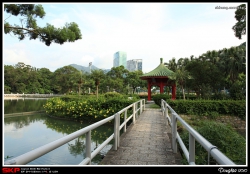 香港中文大學