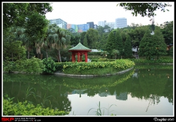 香港中文大學