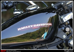 Harley Davidson