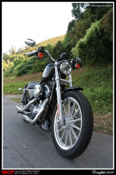 Harley Davidson