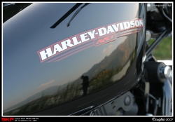 Harley Davidson