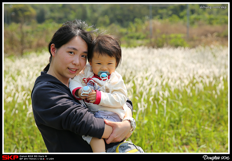 芒草, 英英, Sofia