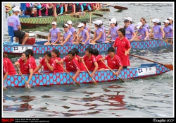 2007香港國際龍舟邀請賽