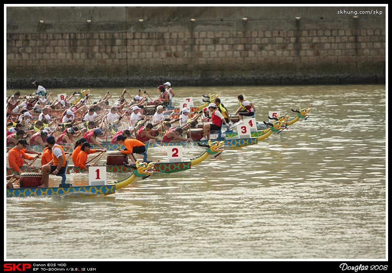 沙田龍舟競賽2008