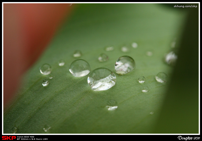 水珠