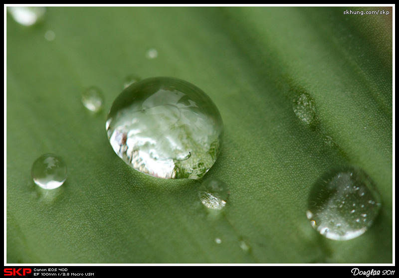 水珠