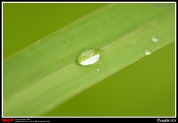 水珠